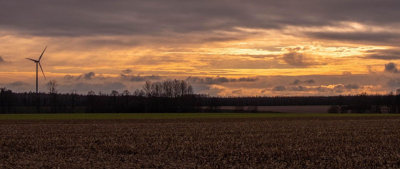 Eco Friendly Event Transportation NYC in 2026: A Practical Guide to Greener Group Rides for Weddings, Conferences, and Corporate Gatherings 2 eco friendly event transportation nyc