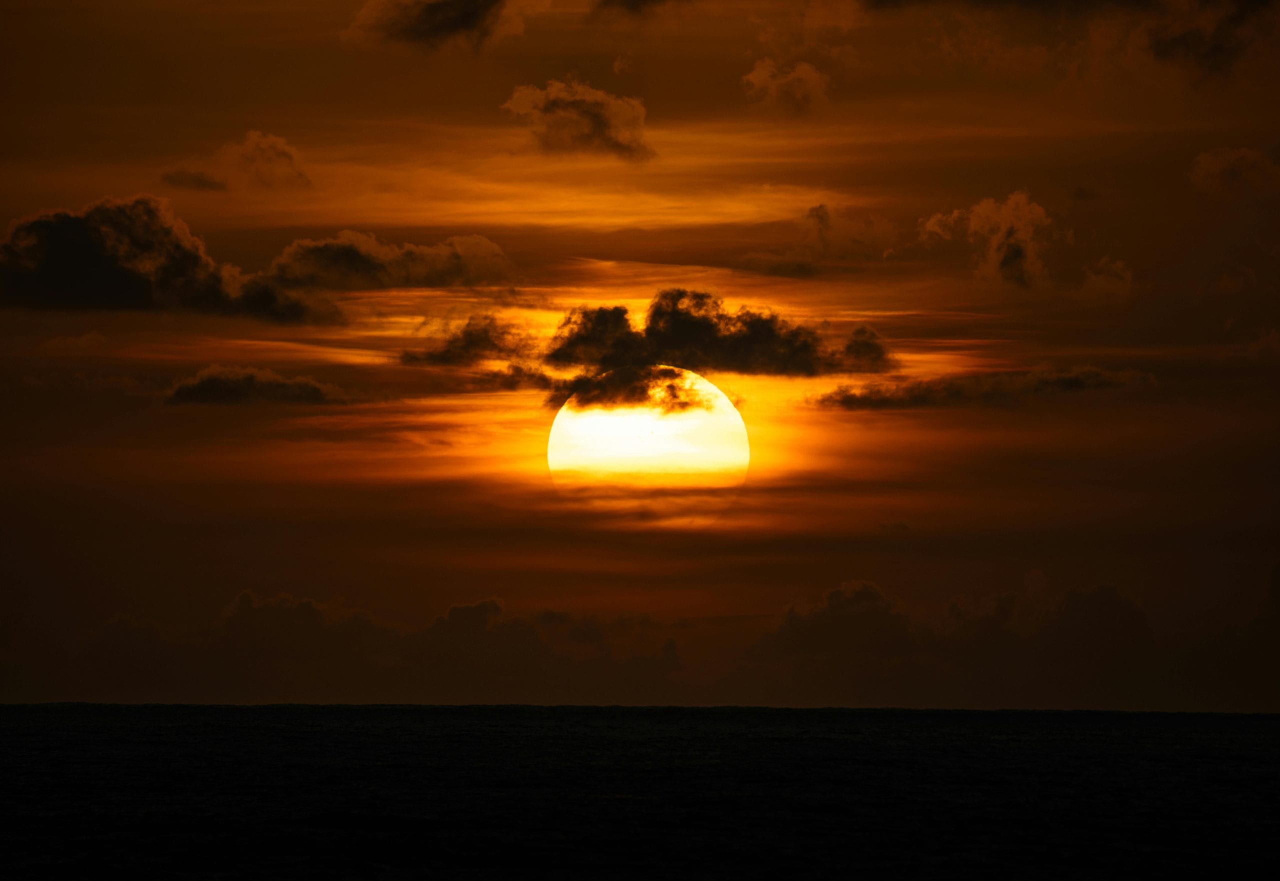 affordable nyc to dc bus