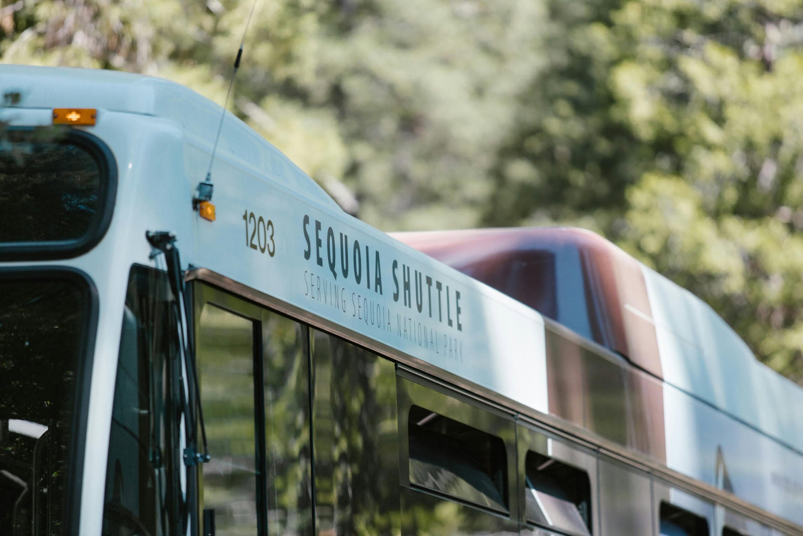 Navigating Bus to Newark Airport: The Easy Bus Guide 24-7 3 bus to Newark Airport
