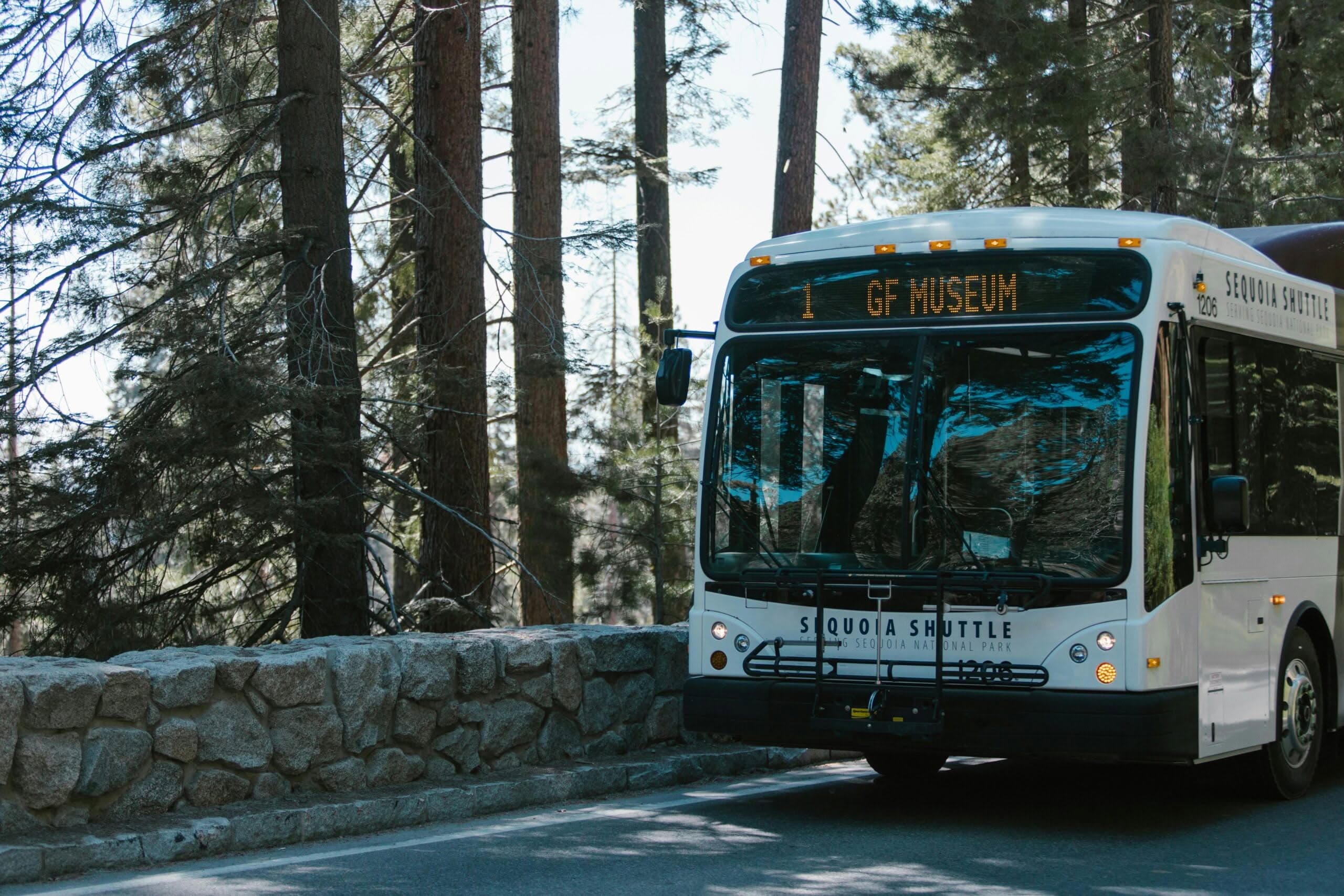 Unveiling the Secrets of Party Bus Prices: Convenient Cruise in Style 24H 3 party bus prices
